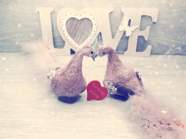 Coppia uccelli decorazione per amore regalo di San Valentino — Foto Stock