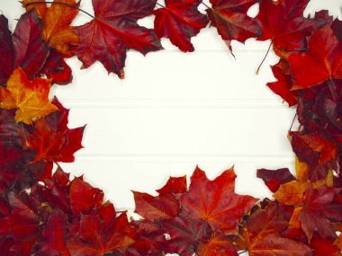 Ahşap zemin üzerinde akçaağaç ağaçları olan sonbahar ormanı