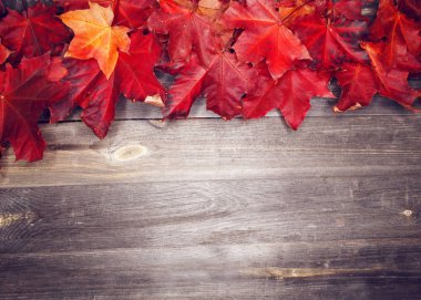 Ahşap zemin üzerinde akçaağaç ağaçları olan sonbahar ormanı