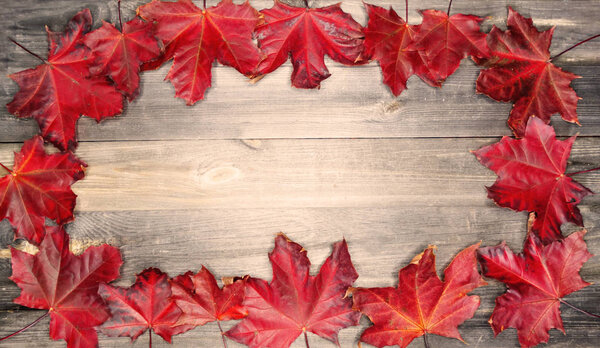 autumn forest with maple trees on wooden background