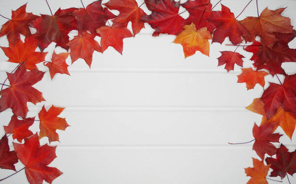 autumn forest with maple trees on wooden background