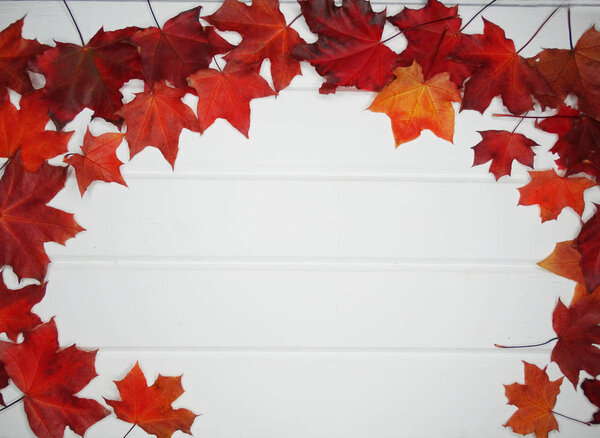 autumn forest with maple trees on wooden background