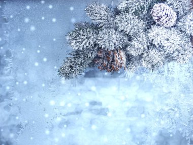 köknar dalları konileri ve kar ile kış arka plan