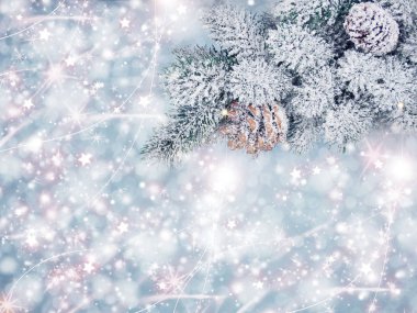 köknar dalları konileri ve kar ile kış arka plan