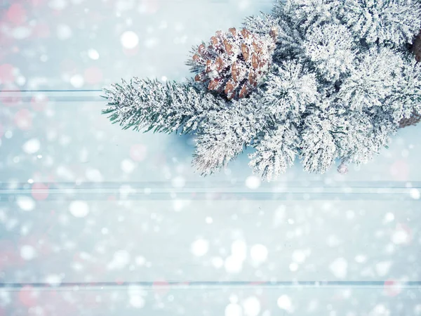 Fundo de inverno com cones de ramos de abeto e neve — Fotografia de Stock