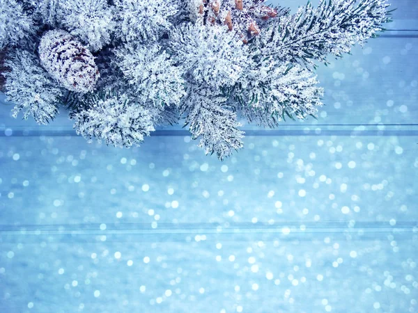 Vinter bakgrund med Gran grenar kottar och snö — Stockfoto