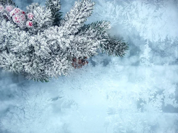 Fondo de invierno con ramas de abeto conos y nieve —  Fotos de Stock