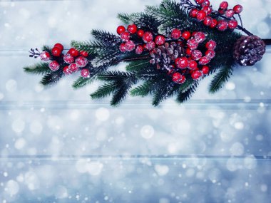 köknar dalları konileri ve kar ile kış arka plan