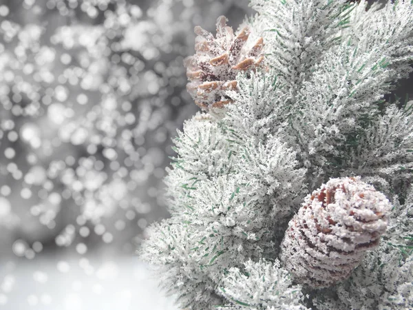 冬季背景与冷杉树枝锥和雪 — 图库照片