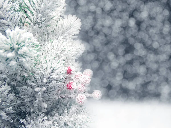 Vinter bakgrund med Gran grenar kottar och snö — Stockfoto