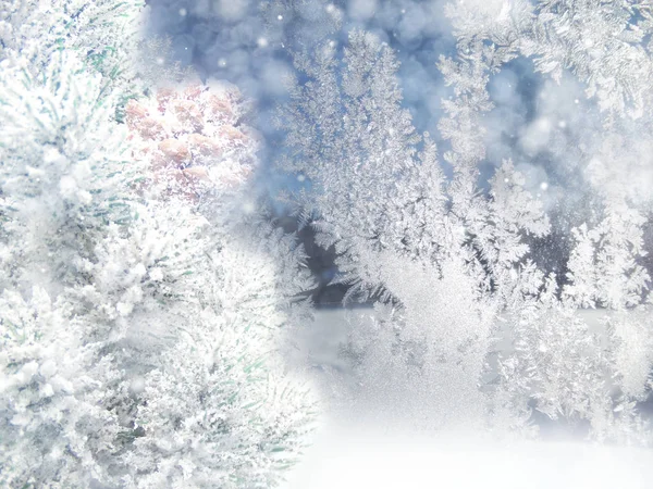 Zimowe tło z gałązkami jodłowych i śniegiem — Zdjęcie stockowe