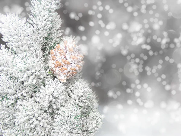 Fundo de inverno com cones de ramos de abeto e neve — Fotografia de Stock