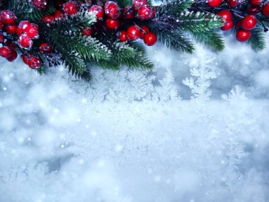 köknar dalları konileri ve kar ile kış arka plan