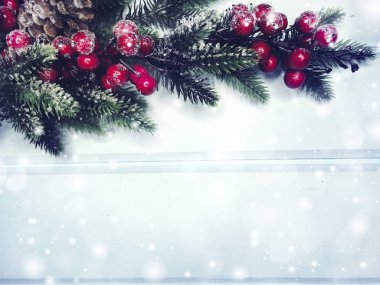 köknar dalları konileri ve kar ile kış arka plan