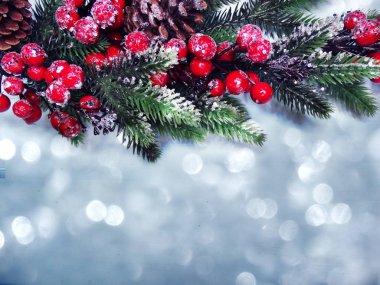 köknar dalları konileri ve kar ile kış arka plan