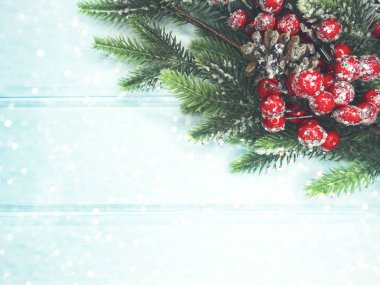 köknar dalları konileri ve kar ile kış arka plan