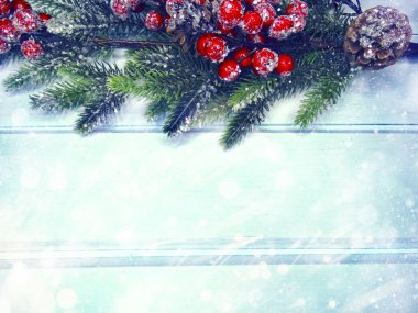 köknar dalları konileri ve kar ile kış arka plan