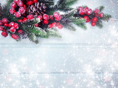 köknar dalları konileri ve kar ile kış arka plan