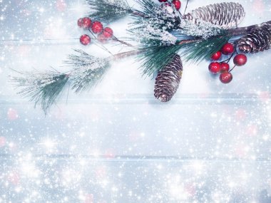 köknar dalları konileri ve kar ile kış arka plan