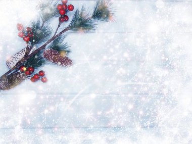 köknar dalları konileri ve kar ile kış arka plan