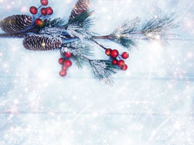 köknar dalları konileri ve kar ile kış arka plan