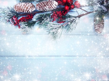 köknar dalları konileri ve kar ile kış arka plan