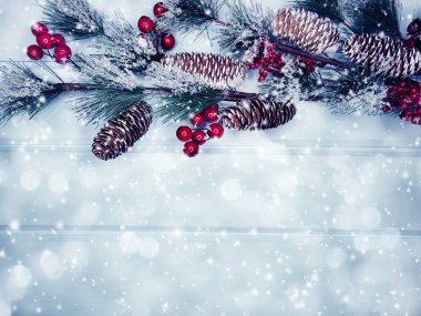 köknar dalları konileri ve kar ile kış arka plan