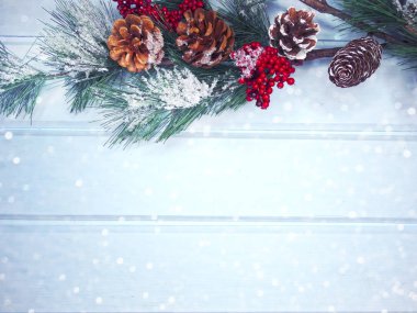 köknar dalları konileri ve kar ile kış arka plan