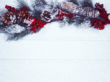 köknar dalları konileri ve kar ile kış arka plan