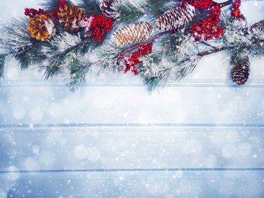 köknar dalları konileri ve kar ile kış arka plan