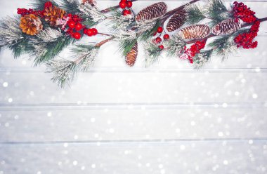 köknar dalları konileri ve kar ile kış arka plan