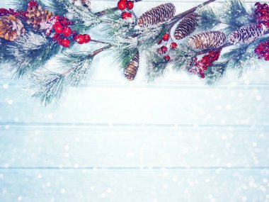 köknar dalları konileri ve kar ile kış arka plan