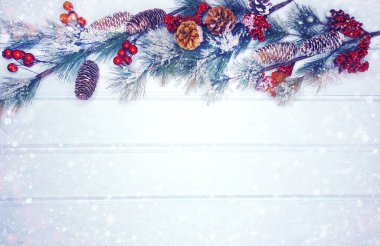 köknar dalları konileri ve kar ile kış arka plan