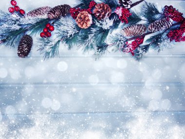 köknar dalları konileri ve kar ile kış arka plan