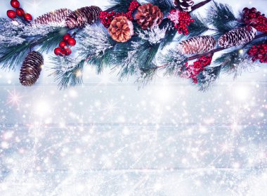 köknar dalları konileri ve kar ile kış arka plan