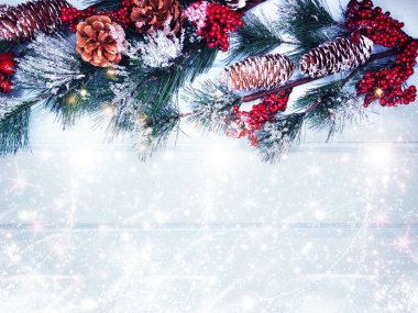 köknar dalları konileri ve kar ile kış arka plan