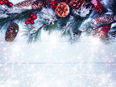 köknar dalları konileri ve kar ile kış arka plan