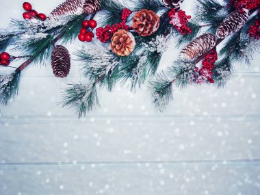 köknar dalları konileri ve kar ile kış arka plan