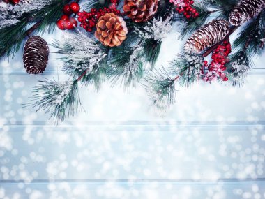 köknar dalları konileri ve kar ile kış arka plan