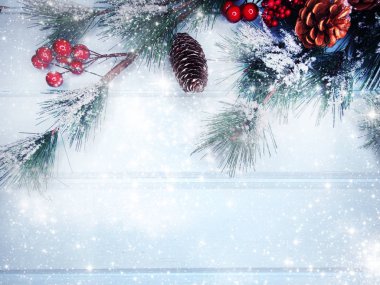 köknar dalları konileri ve kar ile kış arka plan