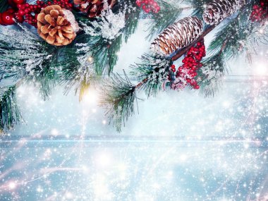 köknar dalları konileri ve kar ile kış arka plan