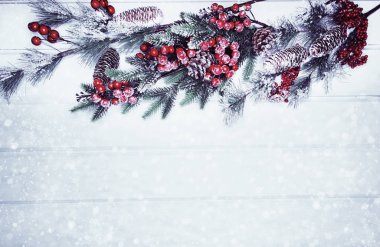 köknar dalları konileri ve kar ile kış arka plan