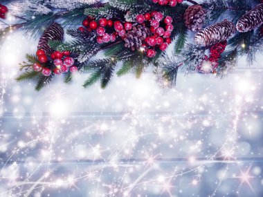 köknar dalları konileri ve kar ile kış arka plan