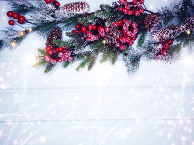 köknar dalları konileri ve kar ile kış arka plan