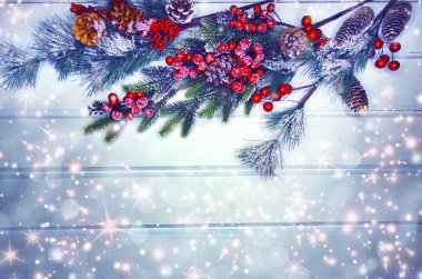 köknar dalları konileri ve kar ile kış arka plan