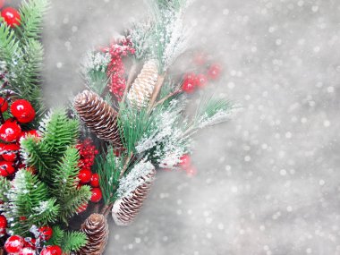 köknar dalları konileri ve kar ile kış arka plan