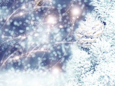 köknar dalları konileri ve kar ile kış arka plan