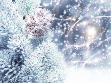 köknar dalları konileri ve kar ile kış arka plan