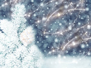 köknar dalları konileri ve kar ile kış arka plan