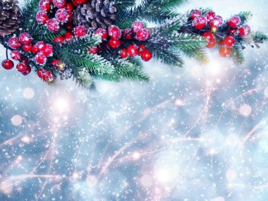 köknar dalları konileri ve kar ile kış arka plan